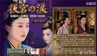 国产日本视频后入