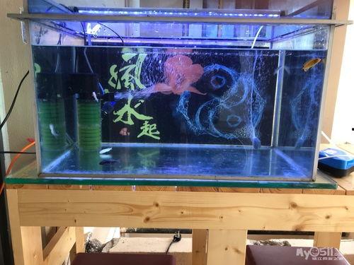 国产鱼缸水泵测试视频,揭秘高效与节能的秘密